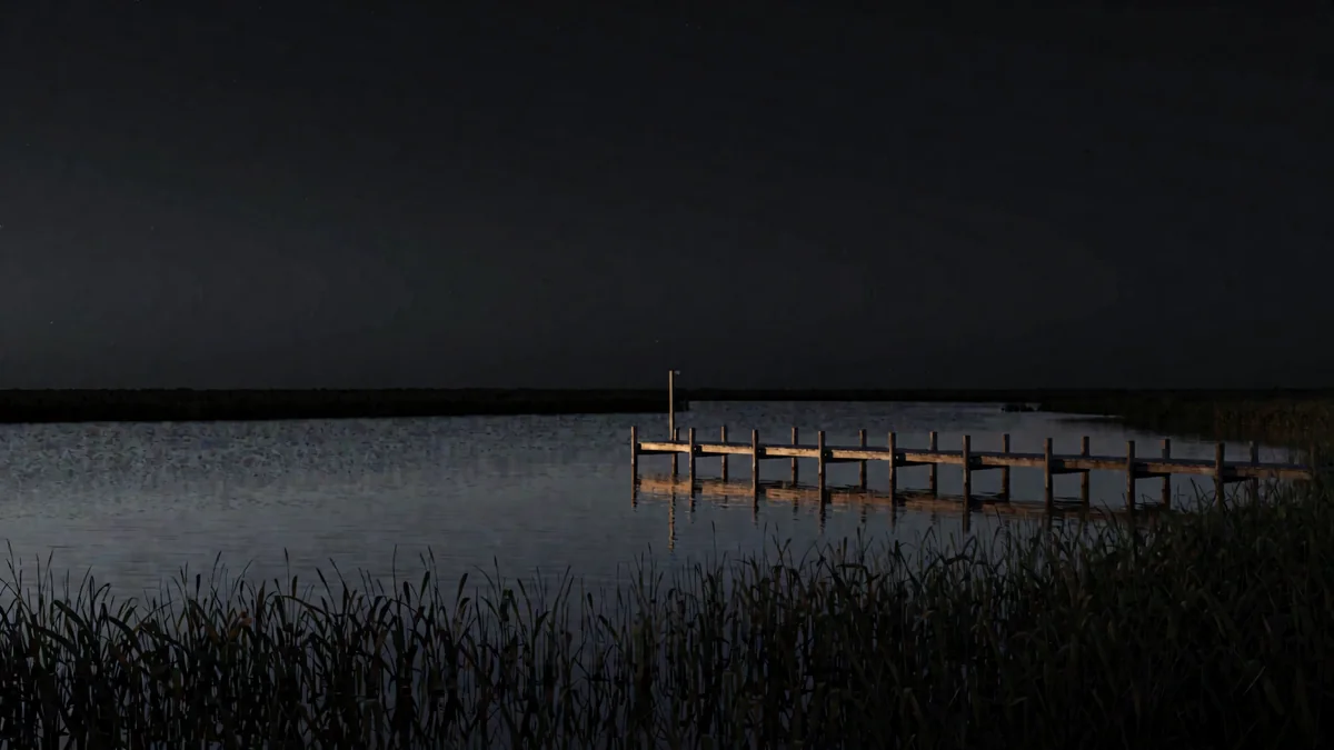 Una laguna con juncos y un muelle de madera al anochecer