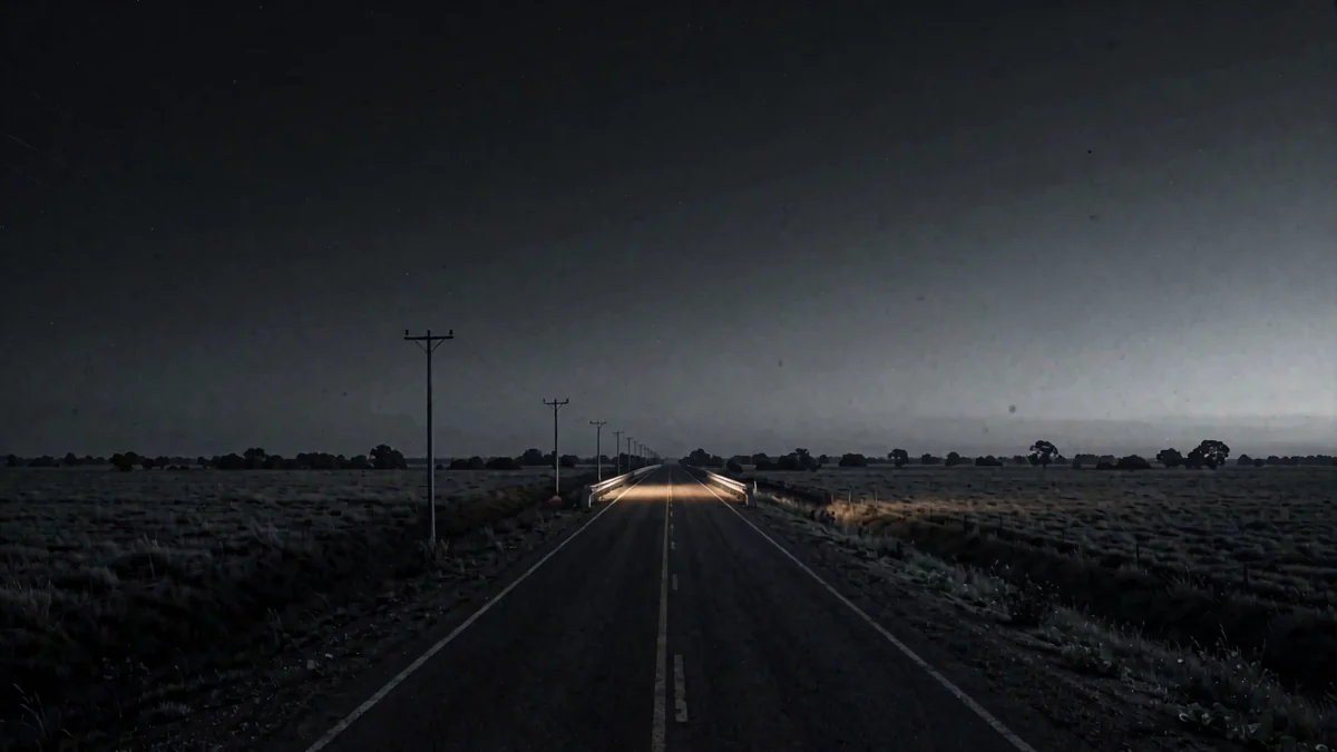 Ruta pampeana recta con un viaducto y postes de luz al atardecer