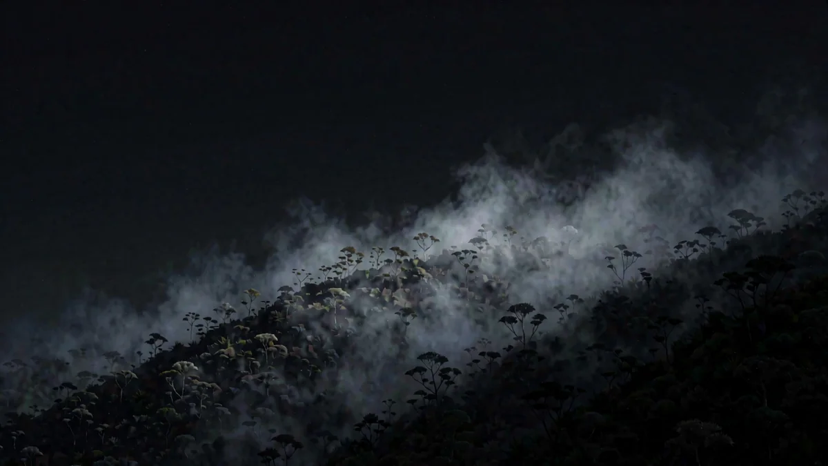 Cerro cubierto de neblina y vegetación húmeda de yungas con luz baja
